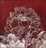 Печальная камбала...