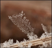 Пила-13... Пила-13...