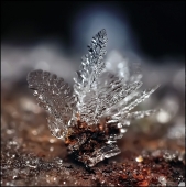 Кошка здесь не пробегала...