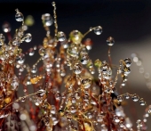 ОтрядНое пополнение..