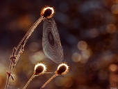 Вот и лето прошло...