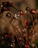 Ночное такси...