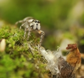 Мне много и не надо..