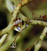 Вне солнца...