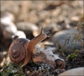 На рыбалку...