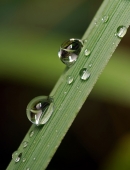 Любить ,друг друга...