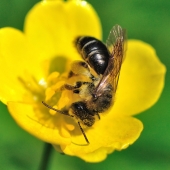 испачкалась за работой