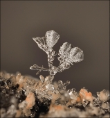 Ёлки-палки постовой...