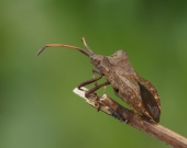 Ожидание.. Ожидание..