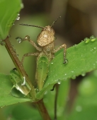 Обида... Обида...