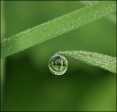 Диагональ... Диагональ...