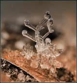 Звуки... Звуки...