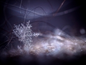 Сюрпризы матушки зимы...