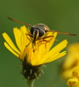 В полёт... В полёт...