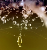 Безмятежность...