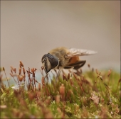 Беспредел...