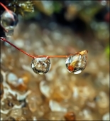 Прибой и остальные...