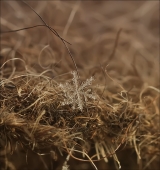 Небесные ошибки...