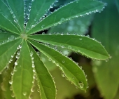 Дефицит тепла....