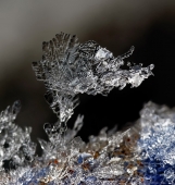 Линии зимы...