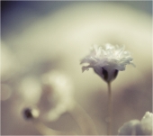 В одиночестве