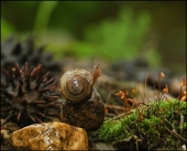 Моя любимая ,где же ты...???