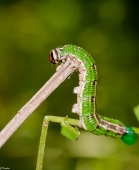 Восхождение..