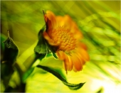 Тепло. Будет.