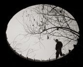 В сфере деятельности....