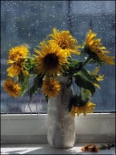 Подсолнухи