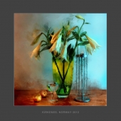 white wine white wine