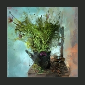 мак. июль. Звоз 2014