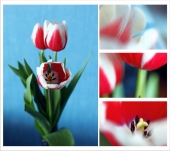 Восмимартовский коллаж