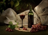Вино и виноград