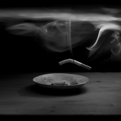 история о присутствии